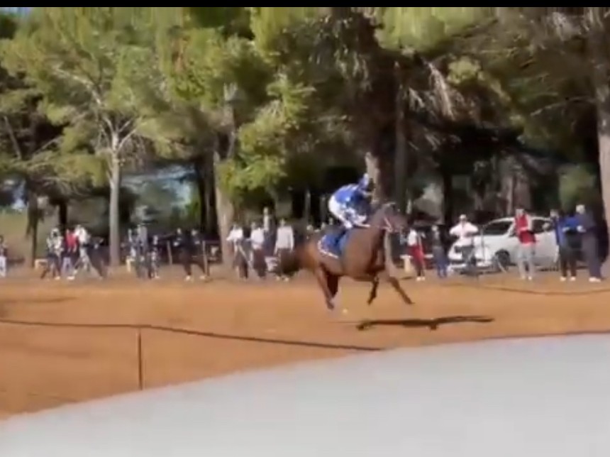 Un momento della corsa di cavalli clandestina a Triscina (foto tratte da video Repubblica) Un momento della corsa di cavalli clandestina a Triscina (foto tratte da video Repubblica)
