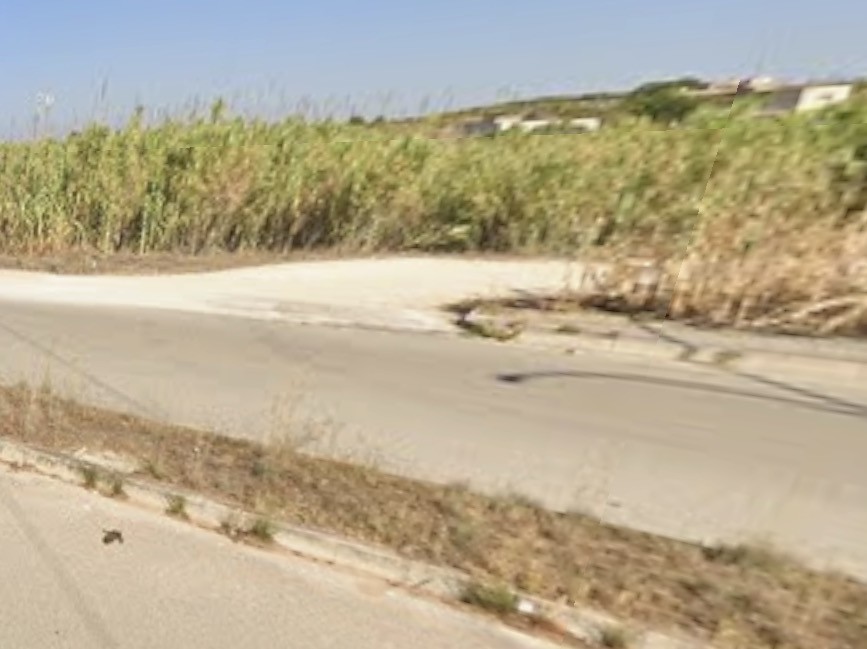 Immagine articolo: Triscina, auto sbanda e finisce fuori strada lungo la Circonvallazione