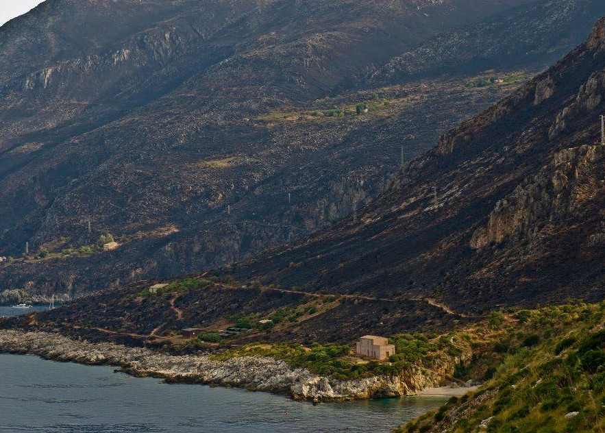 La Riserva dello Zingaro dopo l'incendio La Riserva dello Zingaro dopo l'incendio