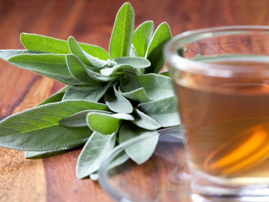 Immagine articolo: I poteri nascosti della salvia. Ecco le proprietà nutritive e perchè fa bene alla salute Immagine articolo: I poteri nascosti della salvia. Ecco le proprietà nutritive e perchè fa bene alla salute