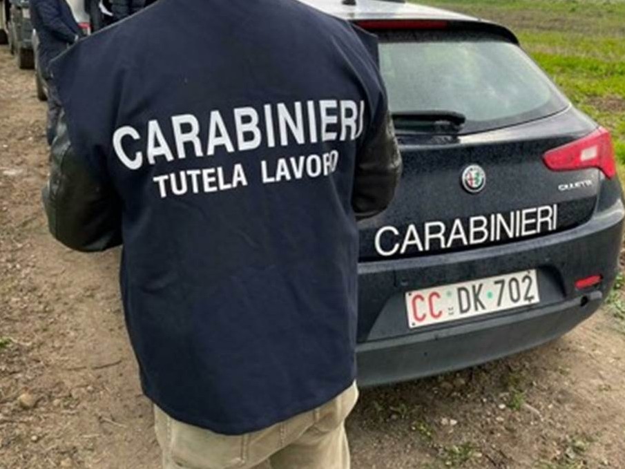 Immagine articolo: Denunce e sanzioni, nel mirino dei carabinieri due aziende di commercio legno