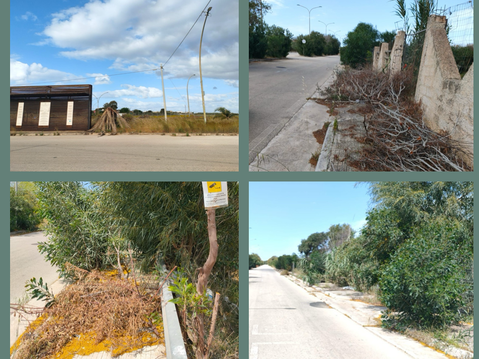 Immagine articolo: Il lettore scrive: "Strade e marciapiedi pieni di sporcizia in prossimità del Kartrodomo a Triscina"