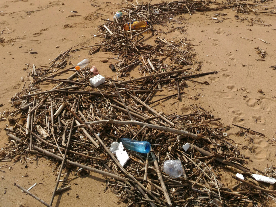 Immagine articolo: Plastic Free chiede ordinanza ad Alfano per vietare utilizzo prodotti monouso in plastica e bioplastica non compostabile