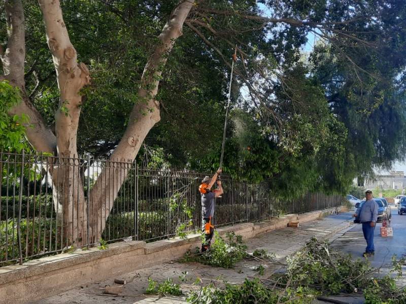 Immagine articolo: Dopo anni di abbandono partita bonifica villa Falcone Borsellino. Forestali a lavoro. Previsti eventi per ricorrenza strage di Capaci