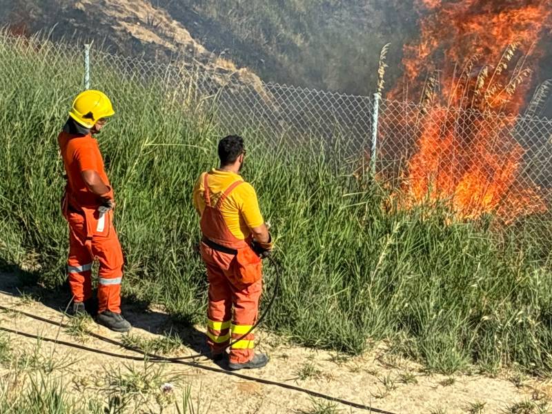 Immagine articolo: Incendio tra Castelvetrano e S. Ninfa. A fuoco vasta area in contrada Besi
