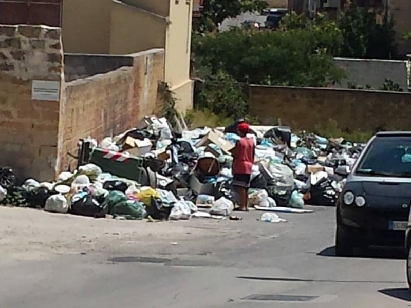 Immagine articolo: “Piccoli cuccioli gettati tra i rifiuti della ‘discarica’ di via Pastrengo. Una vergogna senza fine”