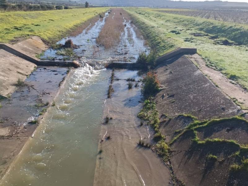 Immagine articolo: Questione lago Trinità, sei Sindaci scrivono alla Regione:”Non possiamo tollerare ancora la gestione superficiale del problema”