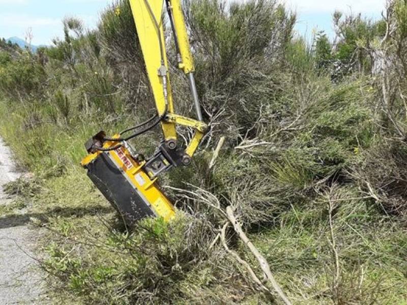 Immagine articolo: Gibellina, danni ad una autovettura durante operazioni di manutenzione verde pubblico. Comune risarcisce il danno