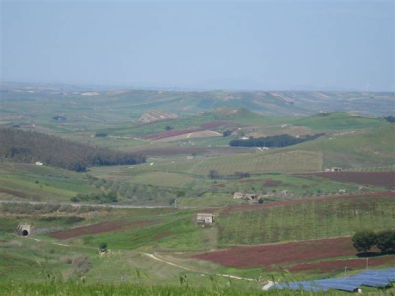 Immagine articolo: Altra tragedia a Santa Ninfa: si ribalta il trattore e muore agricoltore partannese di 58 anni