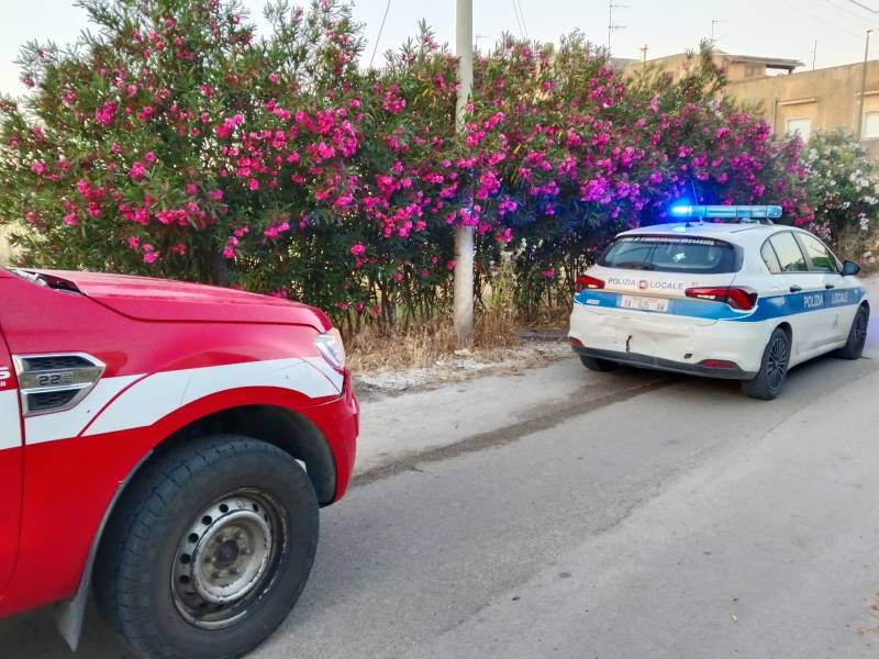 Immagine articolo: Castelvetrano, tamponamento tra Vigili del Fuoco e P.M. per scarsa visibilità da vasto incendio. In tre in Ospedale Immagine articolo: Castelvetrano, tamponamento tra Vigili del Fuoco e P.M. per scarsa visibilità da vasto incendio. In tre in Ospedale