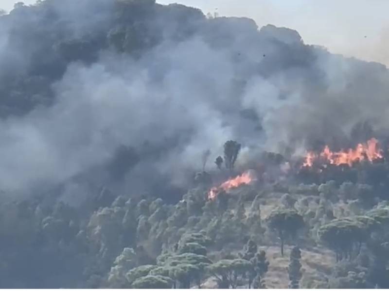 Immagine articolo: Salemi, vasto incendio brucia diversi ettari di macchia mediterranea. Complesso lo spegnimento