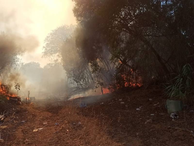 Immagine articolo: Vasto incendio a Triscina. In fiamme zona boschiva. Densa nube di fumo 