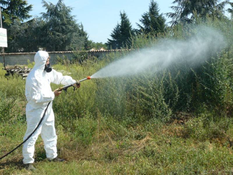 Immagine articolo: Gibellina, giovedì disinfestazione nel centro urbano. Ecco le precauzioni da seguire