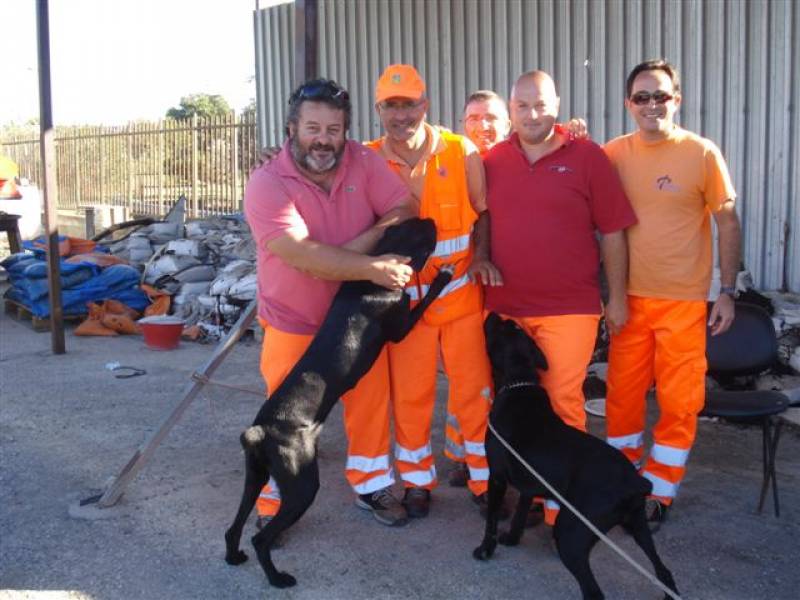 Immagine articolo: Campobello, cani terrorizzano automobilisti in autostrada