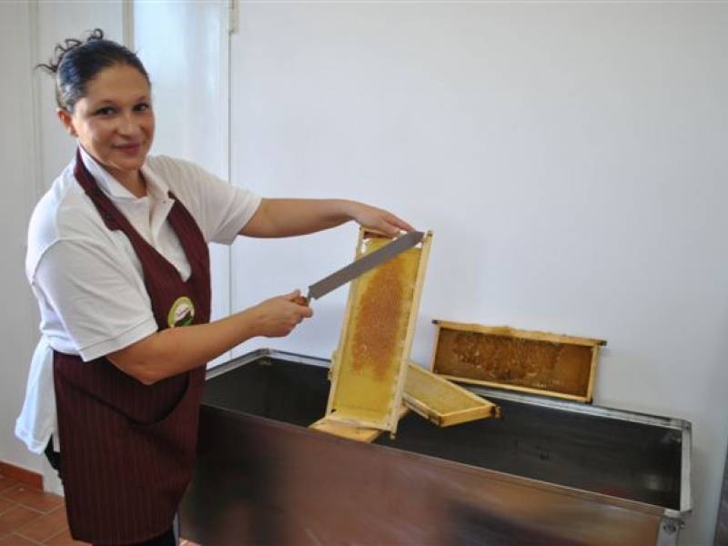 Immagine articolo: Castelvetrano, quando la passione per il miele diventa lavoro. Il racconto di Daniela Furnari