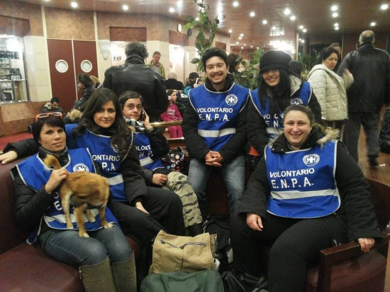 Immagine articolo: La condanna dell'Enpa sull'uccisione dei cani a Selinunte. "Pronti a costituirci parte civile"