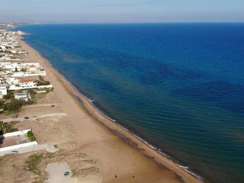 Immagine articolo: Ok del Consiglio Comunale alle Triscinaliadi. Nasce evento di sport e competizioni in spiaggia Immagine articolo: Ok del Consiglio Comunale alle Triscinaliadi. Nasce evento di sport e competizioni in spiaggia