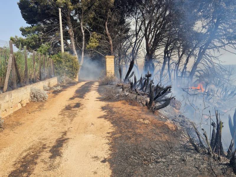 Immagine articolo: Vasto incendio nelle vicinanze del Casello 11. Ettari di macchia mediterranea avvolti dalle fiamme