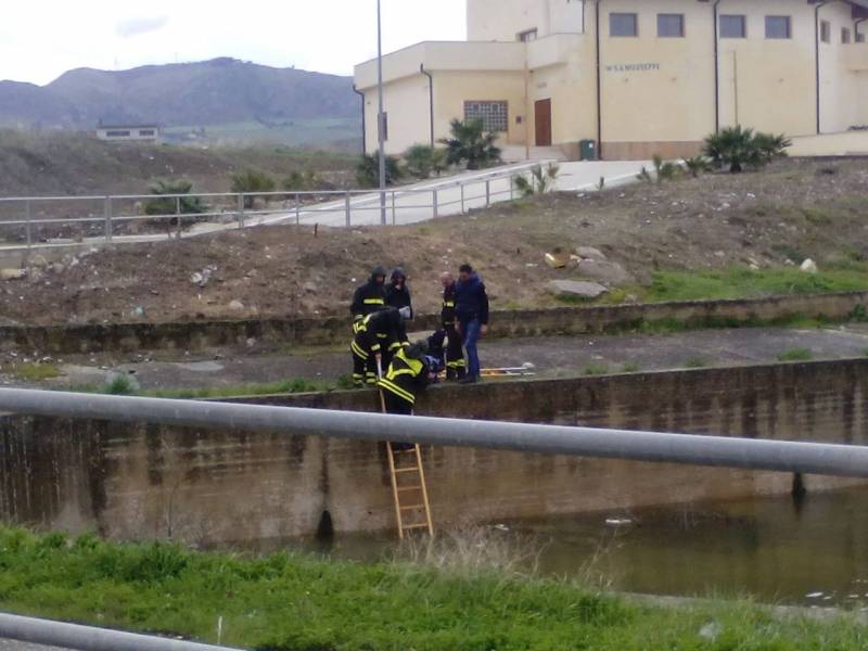 un momento del salvataggio del gatto da parte dei Vigili del Fuoco