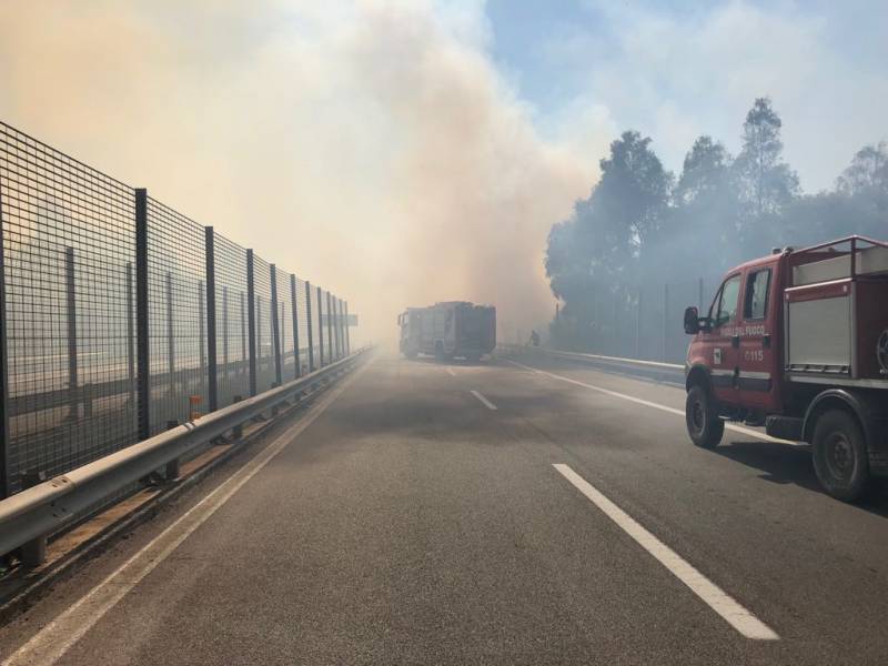 Immagine articolo: Vasto incendio sulla A-29. In fiamme alberi di eucaliptus. Sul posto i vigili del fuoco