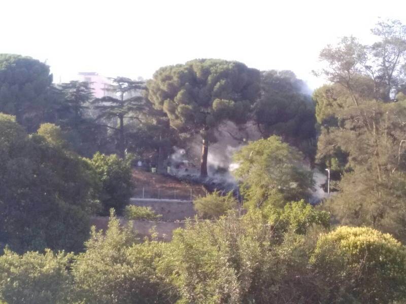 Immagine articolo: A fuoco alberi nella Villa Falcone Borsellino nel giorno della commemorazione. Origine dolosa delle fiamme