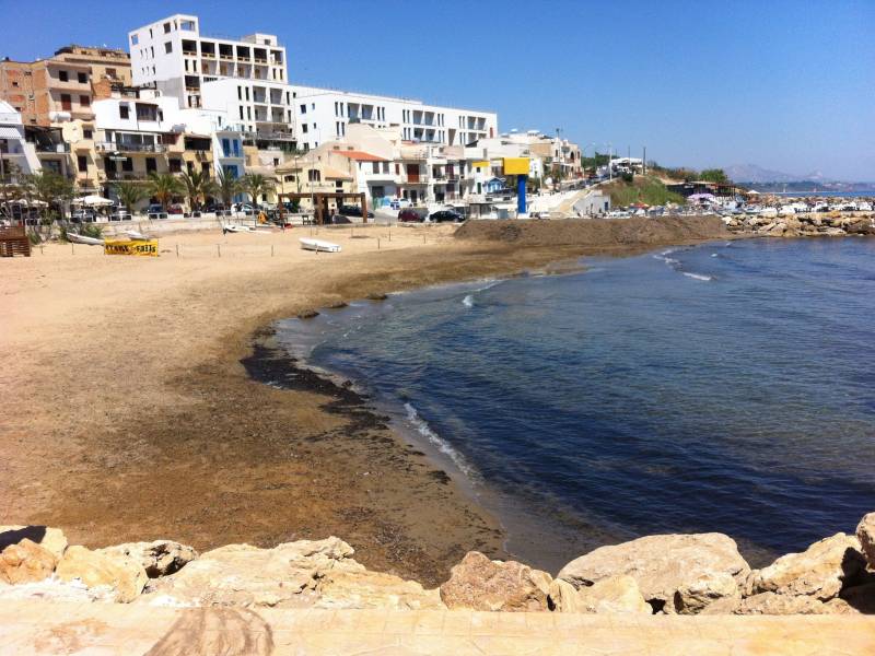 Immagine articolo: Selinunte: via le alghe dalla "spiaggetta". Si ritorna a fare il bagno