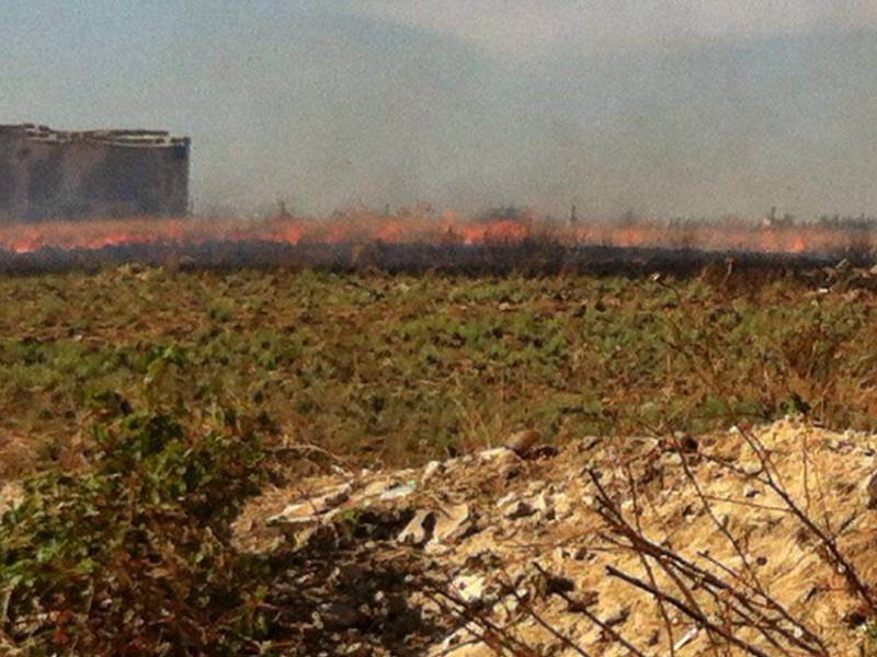 Immagine articolo: Incendio a Castelvetrano nei pressi di via Catullo. A fuoco sterpaglie