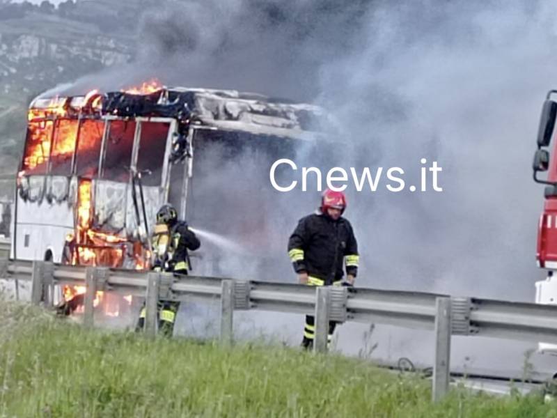 Immagine articolo: Bus travolto dalle fiamme su A-29. Passeggeri evacuati in tempo Immagine articolo: Bus travolto dalle fiamme su A-29. Passeggeri evacuati in tempo