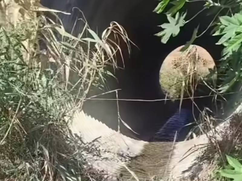 Immagine articolo: Favara, ritrovato il corpo di Marianna Bello. Da settimane si erano perse le sue tracce 