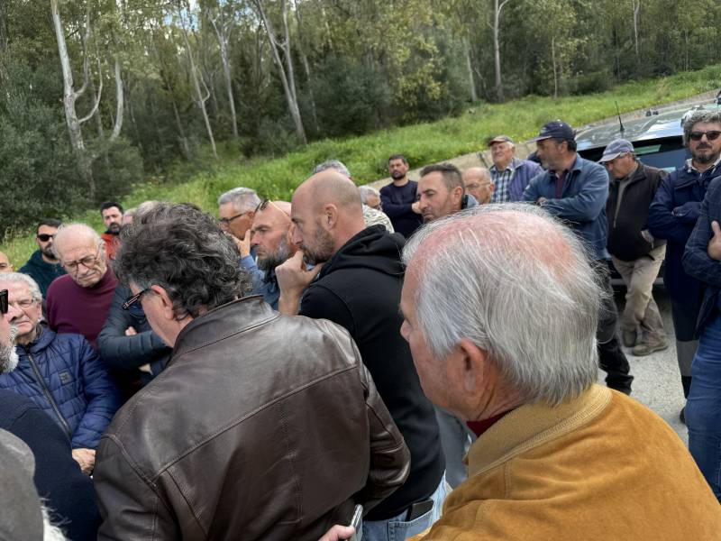 Immagine articolo: Diga Trinità, incontro oggi per le criticità. Pochi agricoltori presenti. La nota del consigliere comunale Enza Viola Immagine articolo: Diga Trinità, incontro oggi per le criticità. Pochi agricoltori presenti. La nota del consigliere comunale Enza Viola