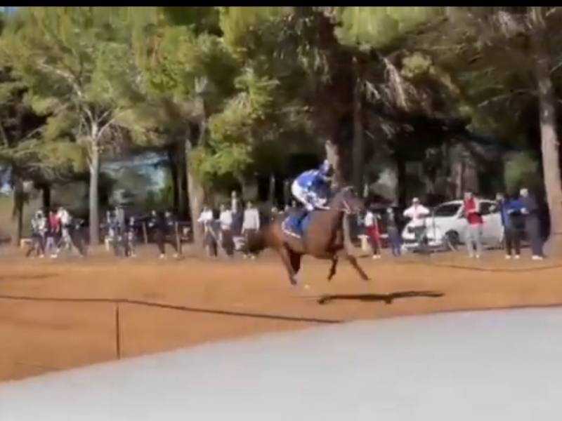 Un momento della corsa di cavalli clandestina a Triscina (foto tratte da video Repubblica)