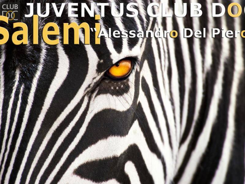 Immagine articolo: Salemi, al via i tesseramenti allo Juventus club Doc Alessandro Del Piero