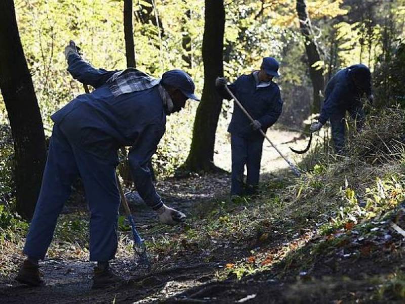 Immagine articolo: Il lettore scrive: "Lavori di pubblica utilità al posto di sanzioni e/o tributi non riscossi" Immagine articolo: Il lettore scrive: "Lavori di pubblica utilità al posto di sanzioni e/o tributi non riscossi"