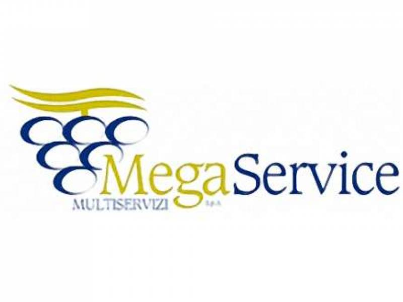 Immagine articolo: Megaservice, pagato uno stipendio a 57 operai