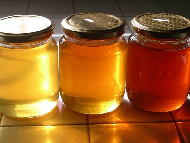 Immagine articolo: Alla scoperta delle tipologie di miele e delle proprietà terapeutiche e mediche
