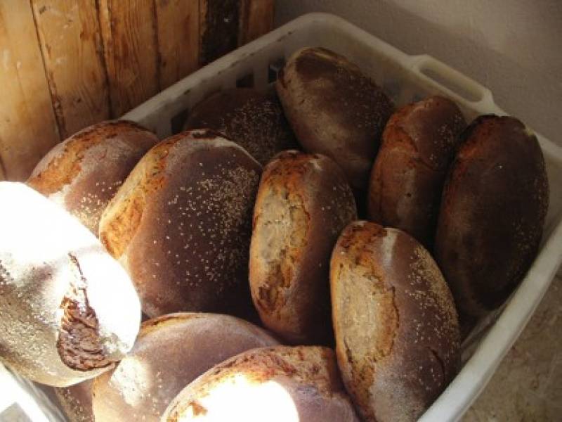 Immagine articolo: Slow food, Dop e Igp. Il pane nero di Castelvetrano e i requisiti per poter conquistare nuovi mercati 