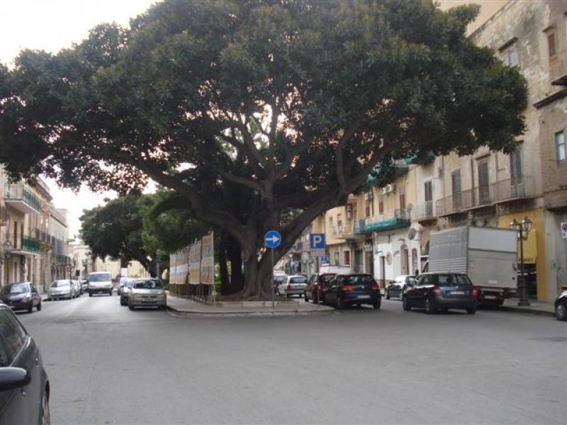 Immagine articolo: Il lettore scrive: "Amo Castelvetrano ma non ci tornerei a vivere. Troppa inciviltà" Immagine articolo: Il lettore scrive: "Amo Castelvetrano ma non ci tornerei a vivere. Troppa inciviltà"