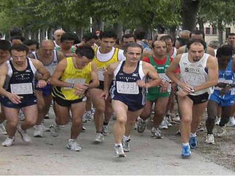 Immagine articolo: Castelvetrano, SOS dei podisti alle prese con cani randagi e segnali stradali assenti Immagine articolo: Castelvetrano, SOS dei podisti alle prese con cani randagi e segnali stradali assenti