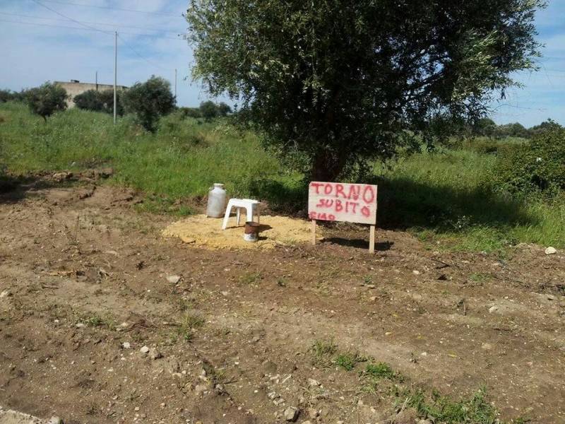 Il cartello di avviso lasciato da una ragazza Il cartello di avviso lasciato da una ragazza