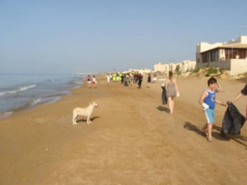 Immagine articolo: Da lunedì 17 giugno parte la pulizia delle spiagge libere di Selinunte e Triscina