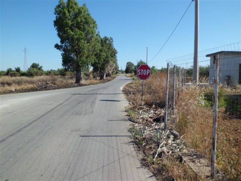 Immagine articolo: Il lettore scrive, l'Anas risponde: "Via la vegetazione, il segnale di STOP si rivede"