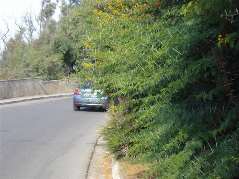 Immagine articolo: Acropoli: proteste dei motociclisti per spine pericolose