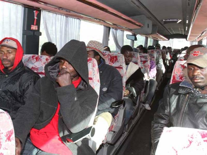 Immagine articolo: Trapani, un autobus per soli immigrati