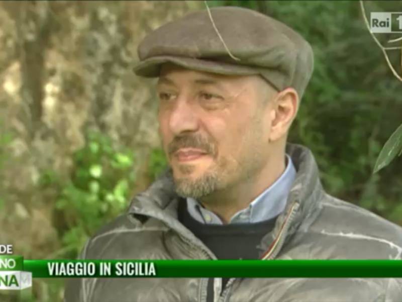 Immagine articolo: Selinunte, gli alberi secolari di ulivo e le cave di Cusa protagonisti a Uno Mattina su Rai 1