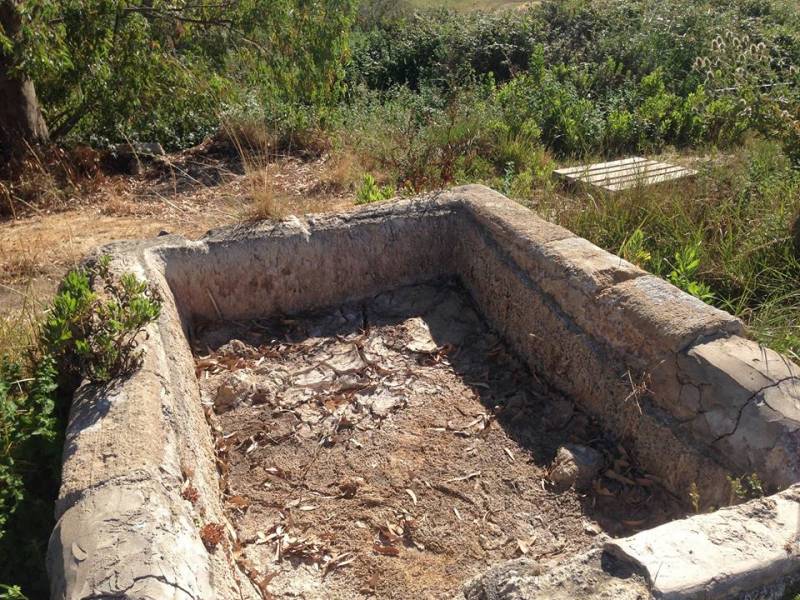 Immagine articolo: Storia di una piccola vasca a Selinunte "sopravvissuta" negli anni 